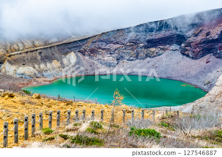 Zao ginkgo Zao ginkgo 127546887