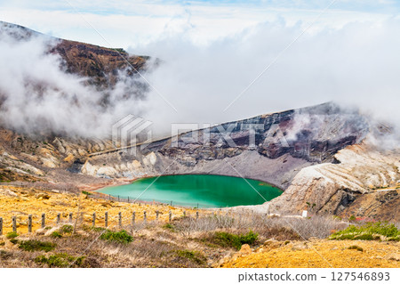 Zao ginkgo Zao ginkgo 127546893
