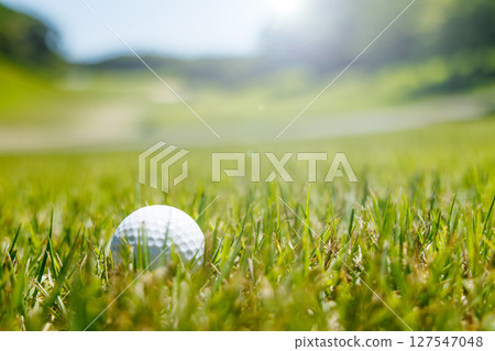 A golf course with beautiful fresh green grass A golf course with beautiful fresh green grass 127547048