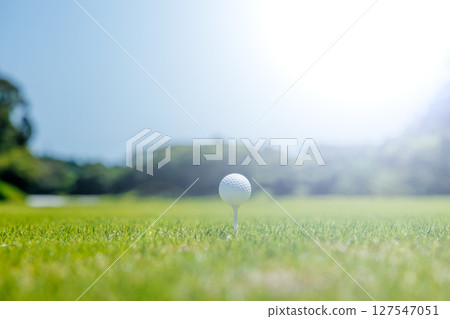 A golf course with beautiful fresh green grass A golf course with beautiful fresh green grass 127547051
