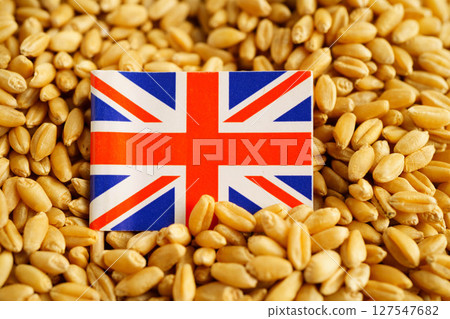 United Kingdom flag on grain wheat, trade export and economy concept. United Kingdom flag on grain wheat, trade export and economy concept. 127547682
