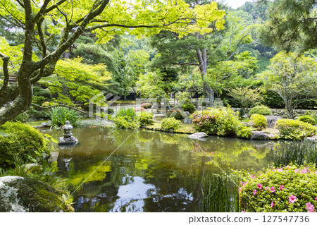 石卷市:國家指定名勝“齋藤家庭園” 石卷市:國家指定名勝“齋藤家庭園” 127547736