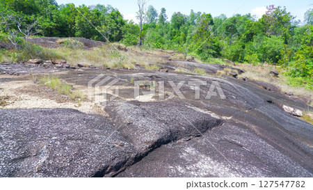 Volcanic Rock Surface with Sparse Grass in Tropical Wilderness 127547782