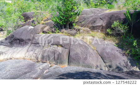 Granite Rock Surface with Tropical Vegetation in Natural Forest 127548222