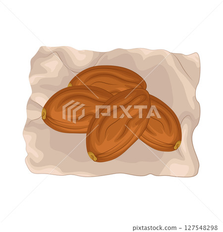 Illustration of Date Fruit Illustration of Date Fruit 127548298