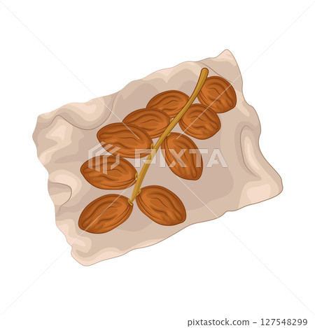 Illustration of Date Fruit 127548299