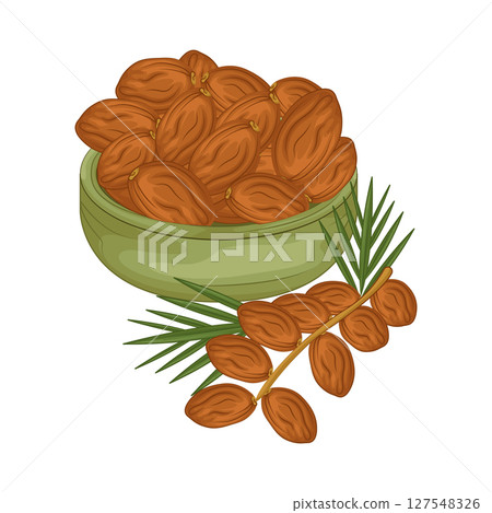 Illustration of Date Fruit 127548326