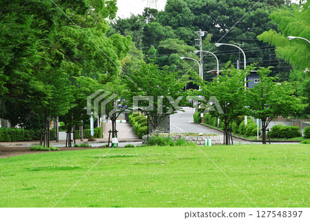 鷺山紀念公園_05 鷺山紀念公園_05 127548397