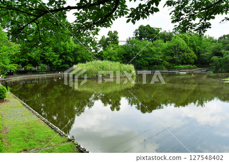 Sagiyama Memorial Park_10 127548402