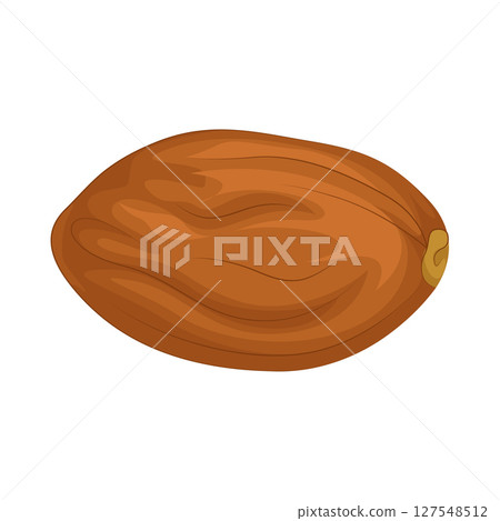 Illustration of Date fruit Illustration of Date fruit 127548512