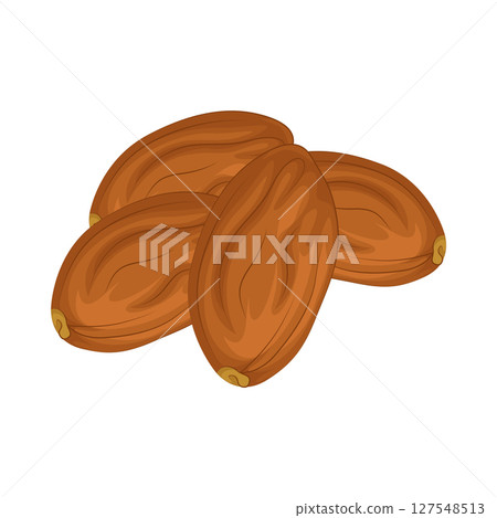 Illustration of Date fruit 127548513