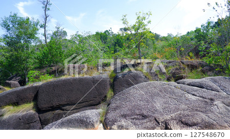 Large Boulders and Tropical Forest Horizon Under Blue Sky in Palembang Large Boulders and Tropical Forest Horizon Under Blue Sky in Palembang 127548670