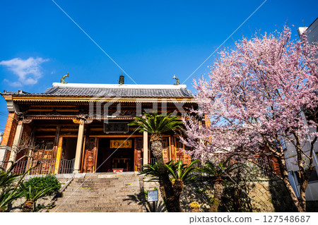 Cherry blossoms at Fujian Hall [Nagasaki City] 127548687