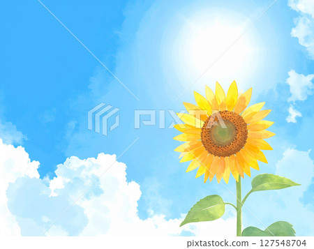 一朵向日葵和藍天 127548704