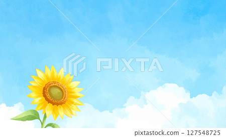 一朵向日葵和藍天 一朵向日葵和藍天 127548725