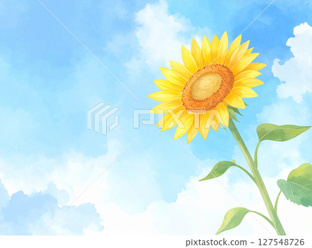 一朵向日葵和藍天 127548726
