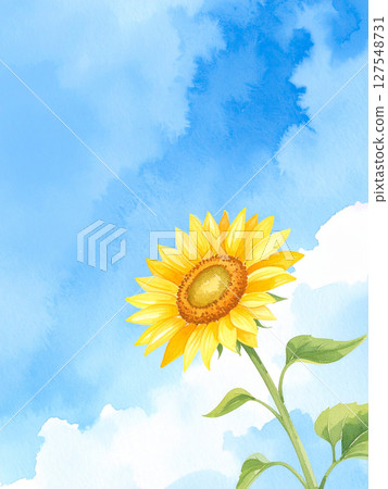一朵向日葵和藍天 127548731