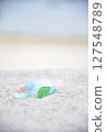 海草 127548789