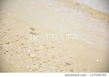 White sand beach White sand beach 127548795