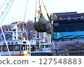 Scallop fishery 127548883