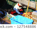 Scallop fishery 127548886