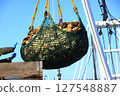 Scallop fishery 127548887
