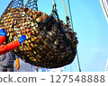 Scallop fishery 127548888