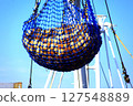 Scallop fishery 127548889