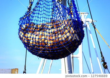 扇貝漁業 127548889