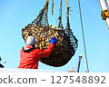 Scallop fishery 127548892