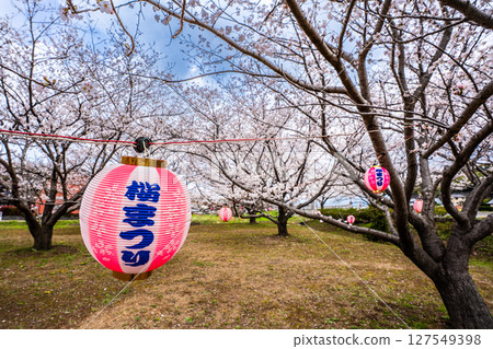守山町櫻花節[長崎縣諫早市] 127549398