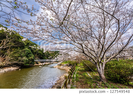 早十二生肖公園（蛇） 宗方公園的櫻花[長崎縣諫早市] 127549548