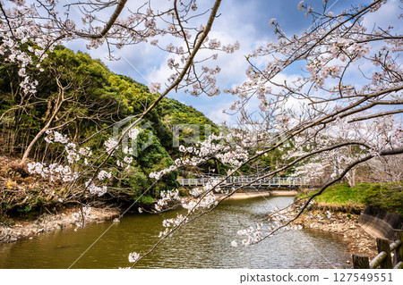 早十二生肖公園（蛇） 宗方公園的櫻花[長崎縣諫早市] 127549551