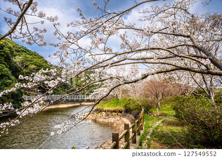 Isahaya Zodiac Park (Snake) Cherry blossoms at Munekata Park [Isahaya City, Nagasaki Prefecture] 127549552