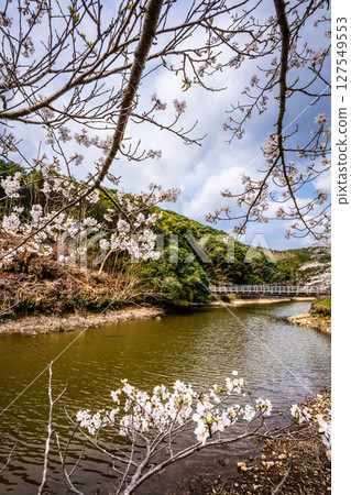 早十二生肖公園（蛇） 宗方公園的櫻花[長崎縣諫早市] 127549553