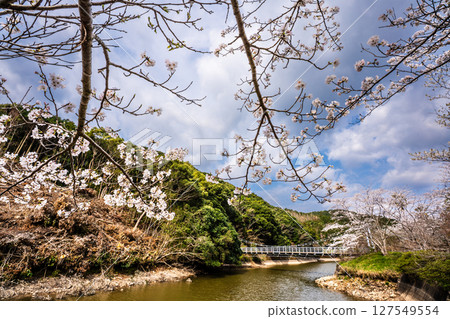 早十二生肖公園（蛇） 宗方公園的櫻花[長崎縣諫早市] 127549554
