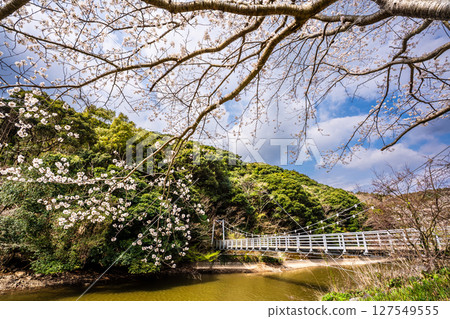 Isahaya Zodiac Park (Snake) Cherry blossoms at Munekata Park [Isahaya City, Nagasaki Prefecture] 127549555