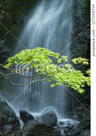 Landscape with a waterfall 127549754
