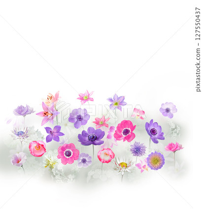 Whimsical Pattern Series for Aesthetic Interiors Whimsical Pattern Series for Aesthetic Interiors 127550437