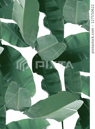 Graceful Decorative Pattern Compilation for Spaces Graceful Decorative Pattern Compilation for Spaces 127550622