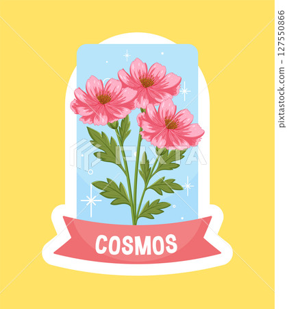 Pink Cosmos Flowers in Retro Illustration Style Pink Cosmos Flowers in Retro Illustration Style 127550866