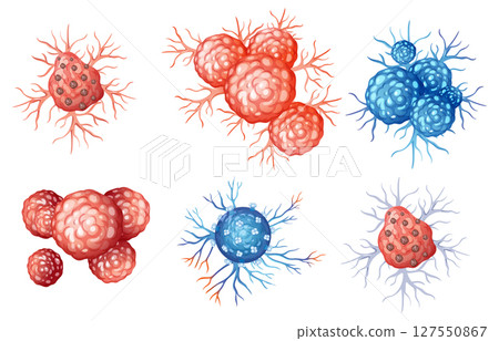 Colorful Vector Illustration of Biological Cells 127550867