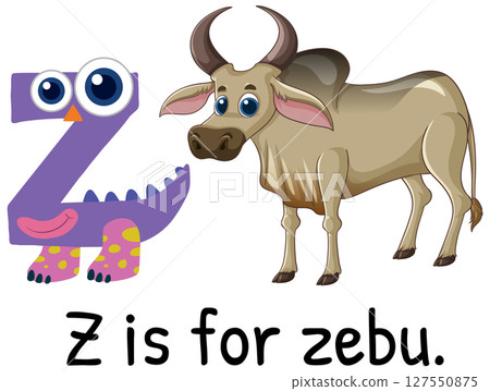 Alphabet Z with Cartoon Zebu Illustration 127550875