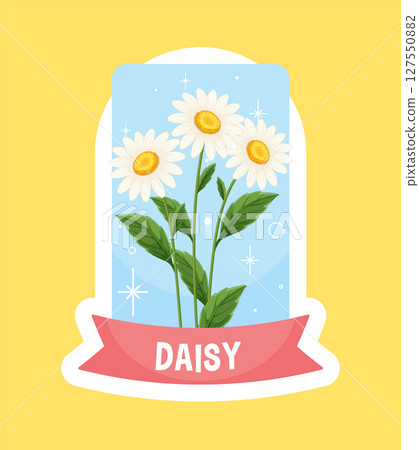 Charming Daisy Illustration with Pastel Background Charming Daisy Illustration with Pastel Background 127550882