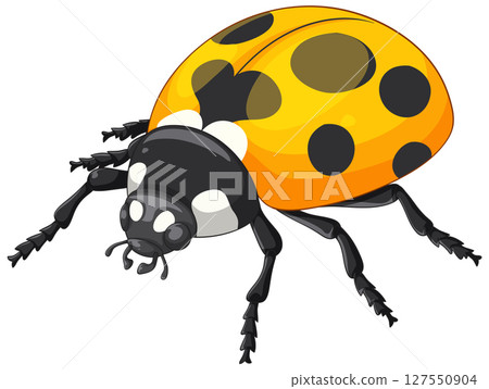 Vibrant Ladybug Vector Illustration with Bold Colors Vibrant Ladybug Vector Illustration with Bold Colors 127550904