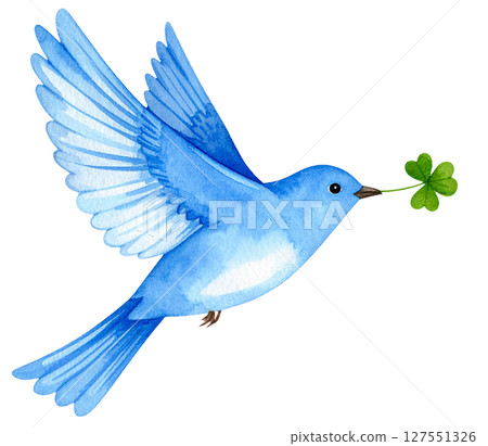 A blue bird holding a clover 127551326