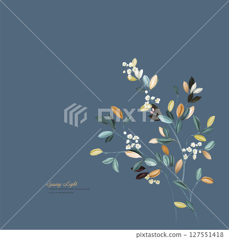 Delicate Pattern Compilation for Creative Ventures Delicate Pattern Compilation for Creative Ventures 127551418