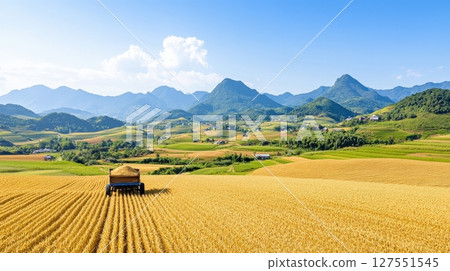 Vibrant Wheat Fields and Mountainous Landscape with Traditional Harvest Cart Vibrant Wheat Fields and Mountainous Landscape with Traditional Harvest Cart 127551545