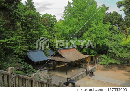 從石階上眺望金刀比羅神社的原江社和花林社 127553003