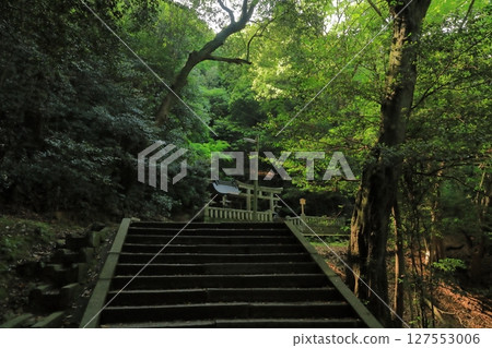 深山綠林中的金刀比羅宮菅原神社 127553006